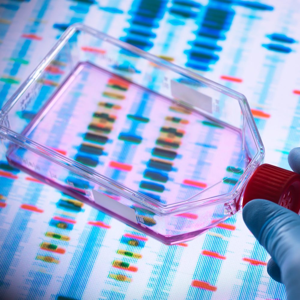 Genetic Engineering, Scientist viewing cells in a culture jar